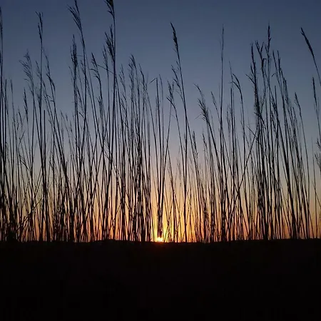 Haus Luv Und Lee, 9 Apartament Sankt Peter-Ording